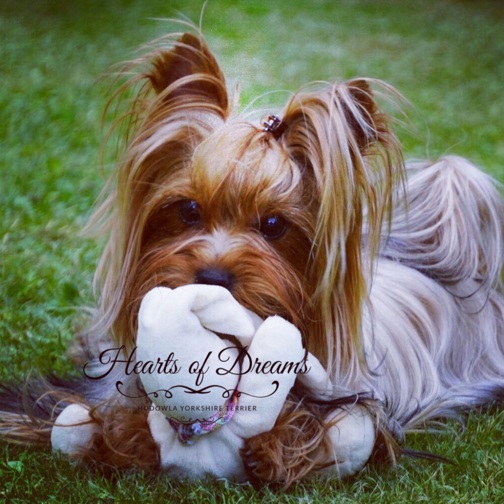 NA TYM ZDJECIU MI ZALEZY BY BYLO NA STRONIE