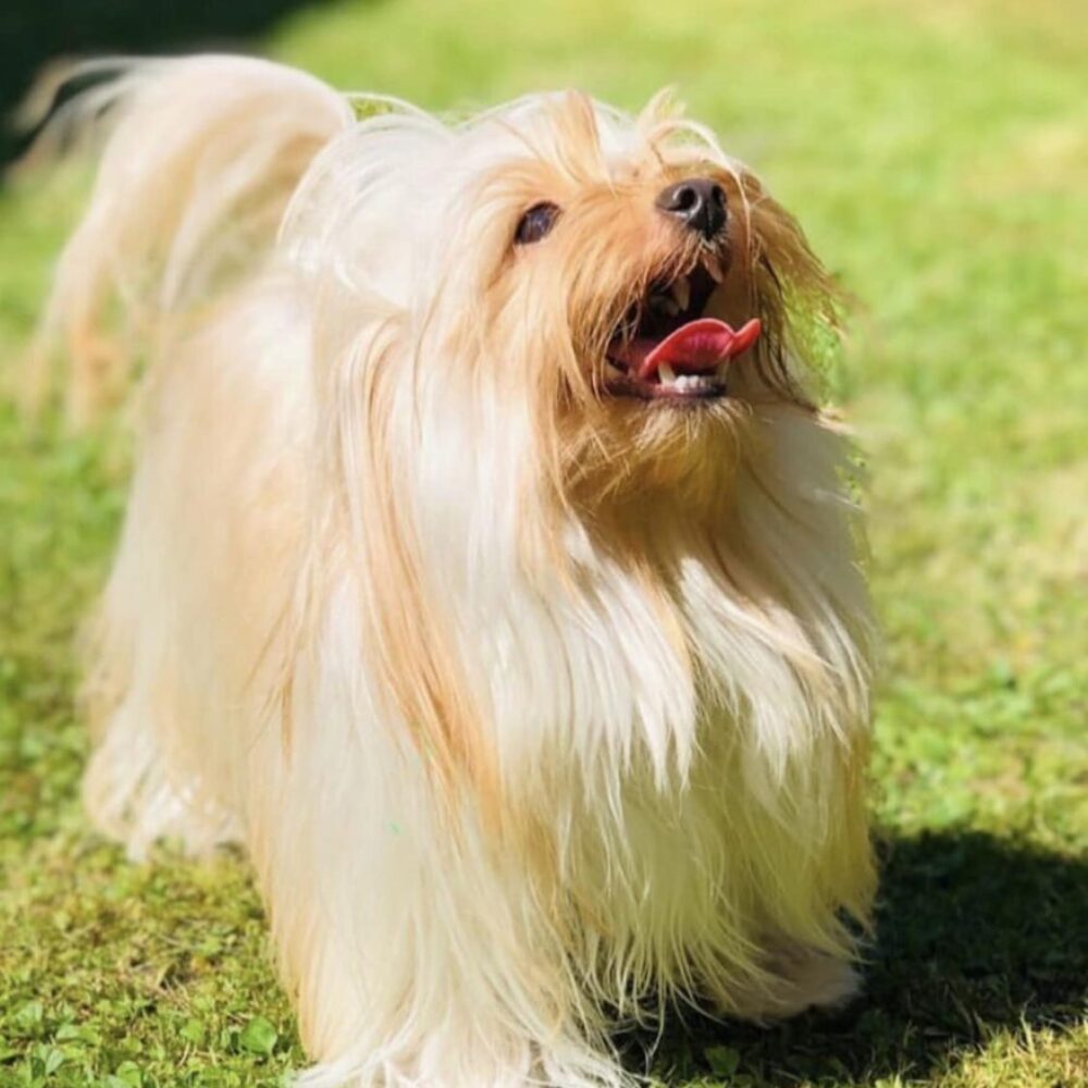 viki prosze dodac tez