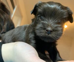 1ee4e82f-a63a-4f98-939e-4ad588bcd130[8760]