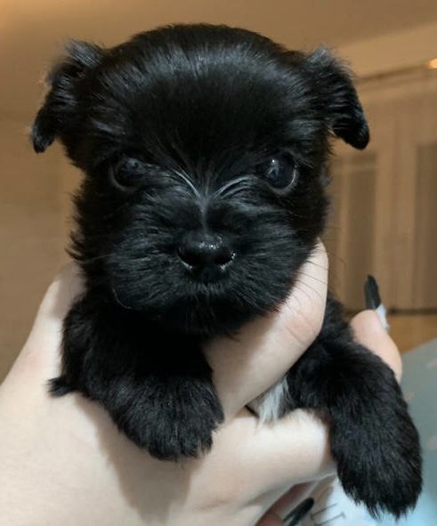 867182b0-c59d-4cae-8a96-6b746e0e04d8[8758]