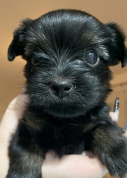 ee48593d-87b9-418e-bdaa-697436ebb9e9[8759]