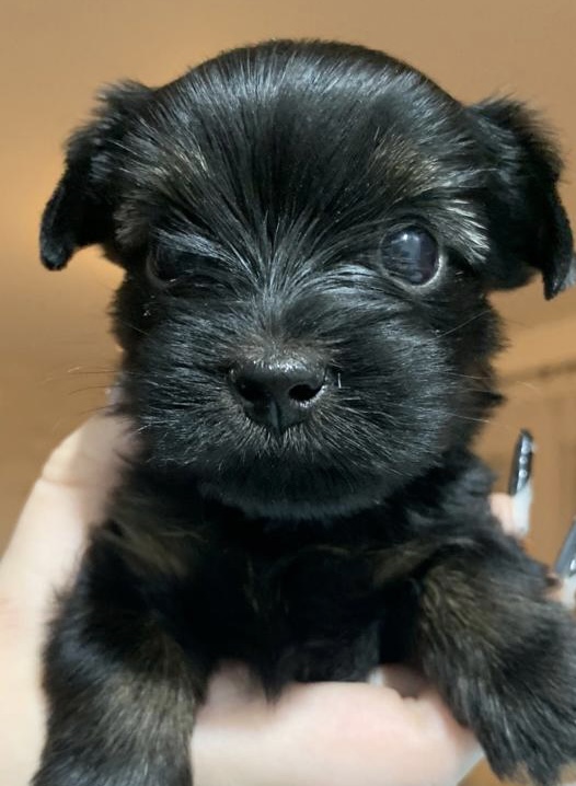 ee48593d-87b9-418e-bdaa-697436ebb9e9[8759]