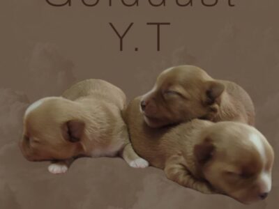 thumbnail_PhotoRoom_20240105_152735