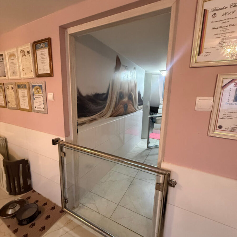 Hodowla (10) Hodowla (10)