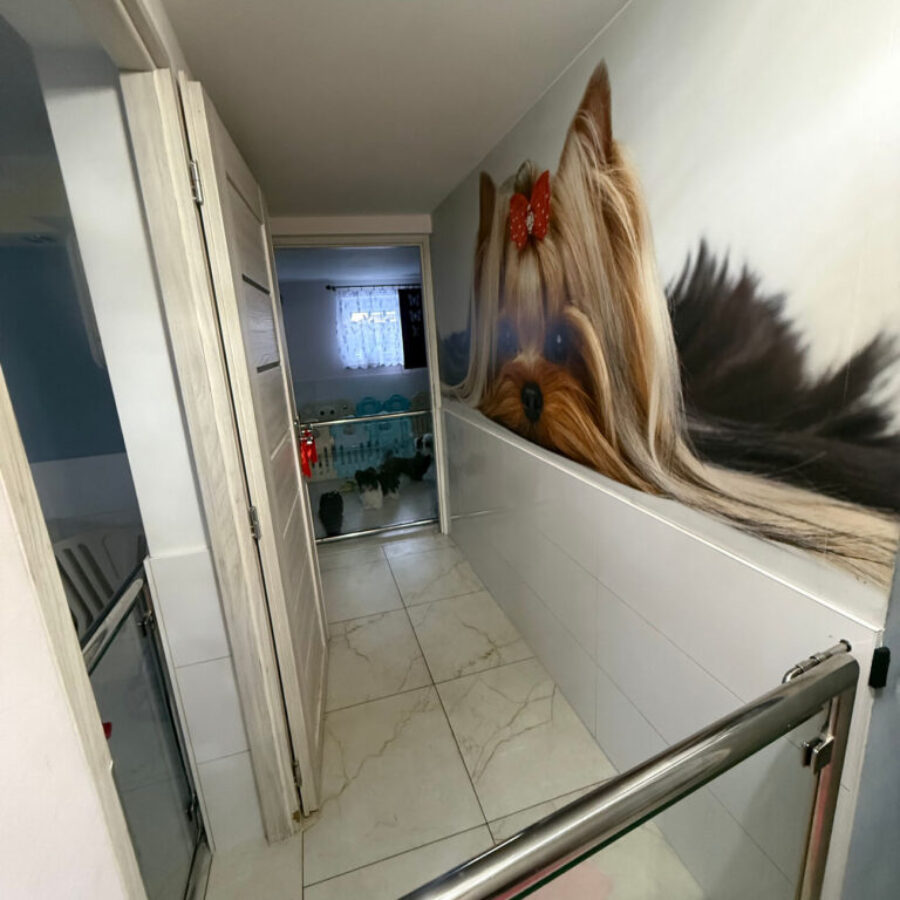 Hodowla (11) Hodowla (11)