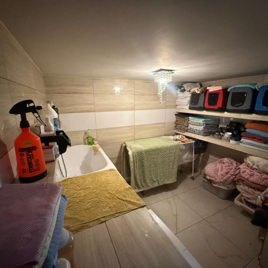 Hodowla (13) Hodowla (13)