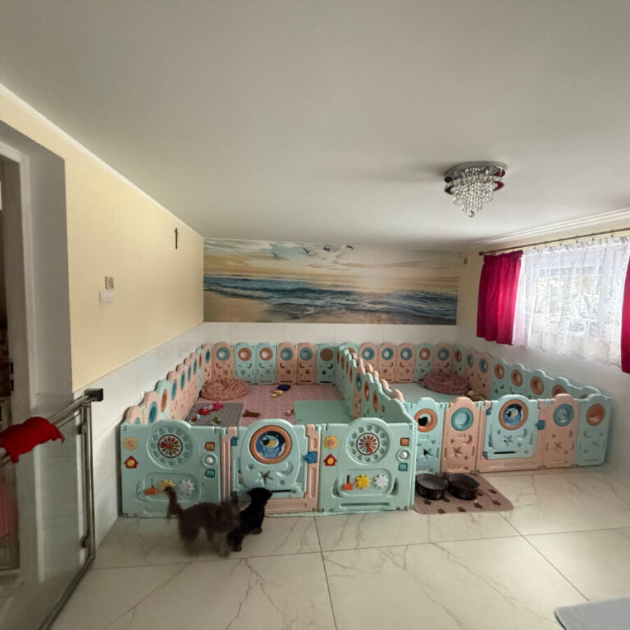 Hodowla (2) Hodowla (2)