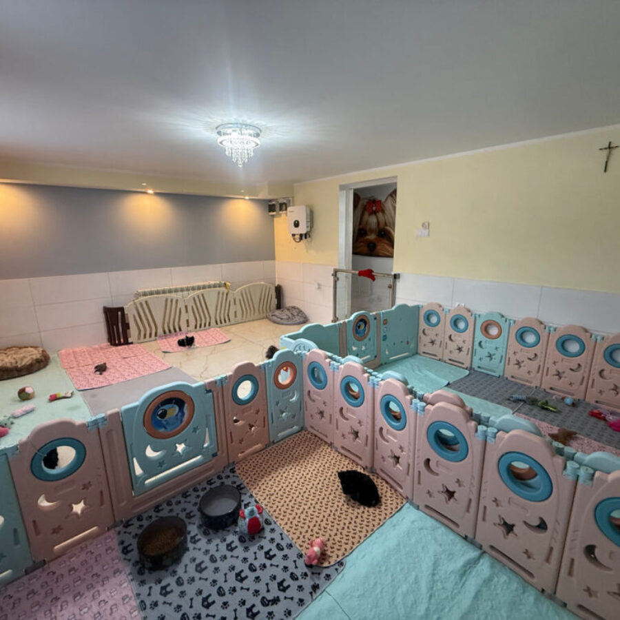 Hodowla (4) Hodowla (4)