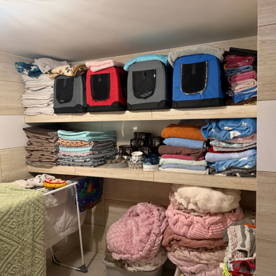 Hodowla (6) Hodowla (6)