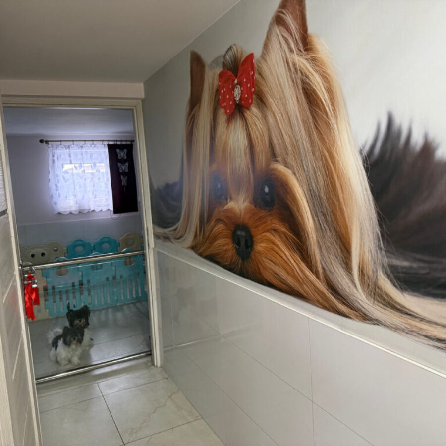 Hodowla (7) Hodowla (7)