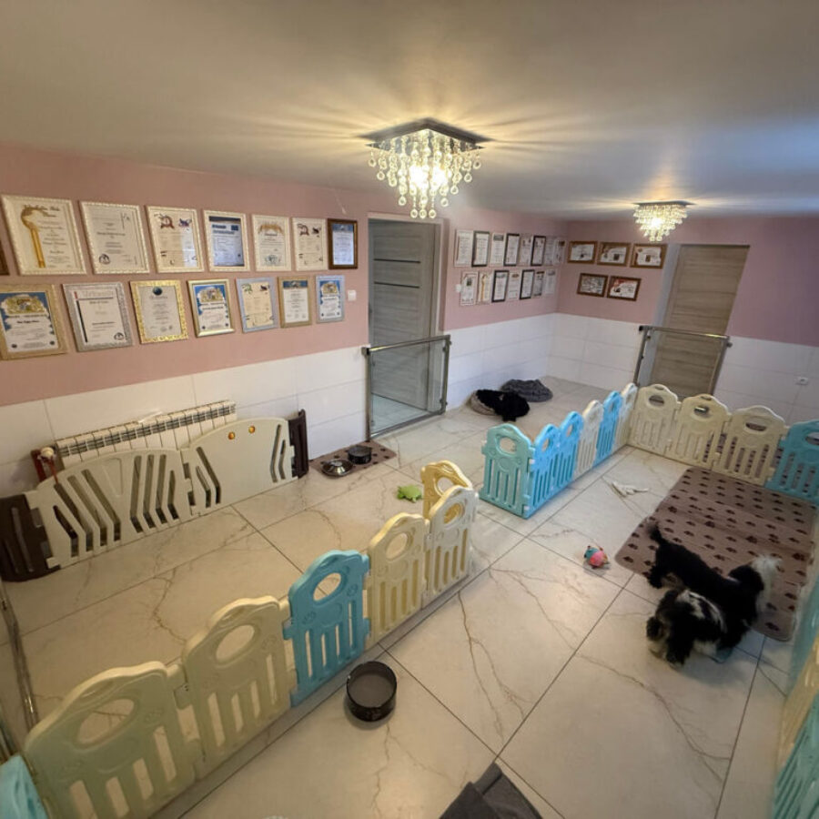 Hodowla (8) Hodowla (8)