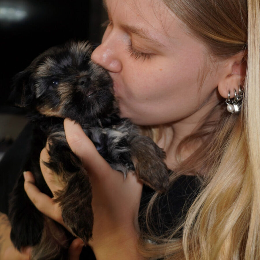 Szczeniaki (22) Szczeniaki (22)